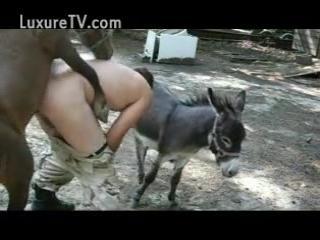 Vengeance is Sweet: Watch a Donkey Get Its Revenge with a BONK to a Man Seeking Sexual Gratification