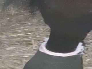 Unlock the Hidden Potential of your Business with [Content]!