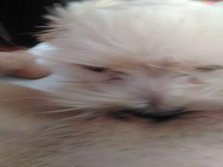 Experience the Magic of Lambidela: Unlock a World of Possibilities!