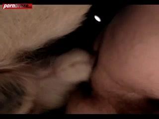 Watch High-Quality Dog-Fucking Gay Sex - Shocking and Unforgettable Video Experience!