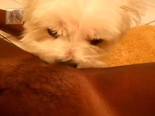 Shocking Video of Girl and Dog Engaged in Intimate Sexual Activity Sparks Controversy!