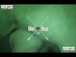 Free Animal Video Download: Watch Cam Dog Fucking a Girl!