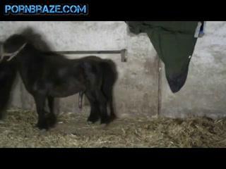 Get Ready for Unlimited Pleasure: Watch Free Sex Porn Zoo XXX Videos Now!