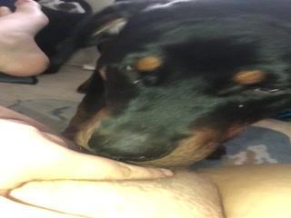 Watch This Adorable Puppy Enjoy a Delicious Meal in This Unbelievable Animal Video!