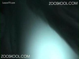 Watch Free Video of Amazing Zoo Dogs Fucking Their Teenage Owners - Download Now!