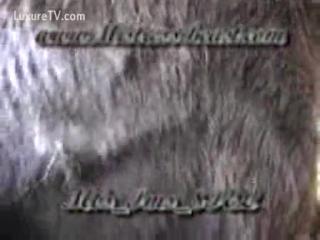 Girl Experiences Unforgettable Joy with Horse After Unexpected Sexual Encounter