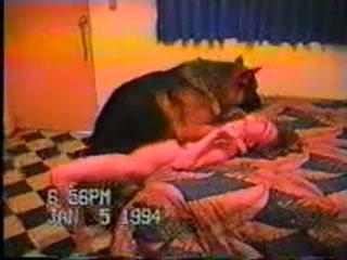 Little Girl Experiences Unforgettable Pleasure with Dog in Free Porn Video!