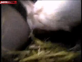 Wild and Uninhibited: Watch Animal Sex XXX with Animal Deep Pussy Girl!