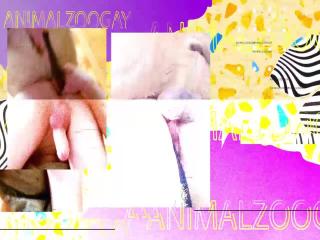 A Must-See Video: Amateur Knotting with My Dog, XXX Zoo Sex Animal Porn Clip!