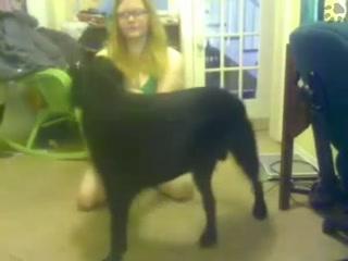 Unlock Your Wild Side with Free Animal Sex Videos - Download Now!