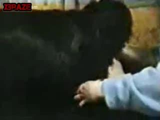 Experience the Wildest Animal Sex: Free Porn Video Download and Animal Video Free!