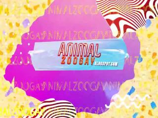 Experience the Wild Side of Life with the Free Zoo Sex Video and Knotty PT3!