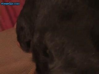 Unlock the Secrets of [Content] and Reap the Benefits!