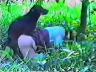 Brunette Teen Slutwife Unleashed: Wild Dog Outdoor Fucking Adventure Caught on Tape!