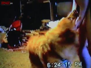 Unlock Your Wildest Desires with Free Animal Porn Video Clip and XXX!