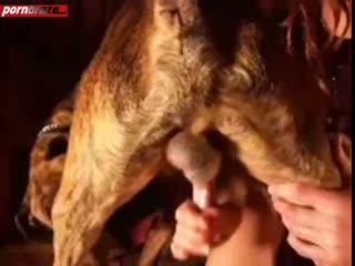 Blonde Ass Up Hardcore Fuck Dog sex animal porn clip