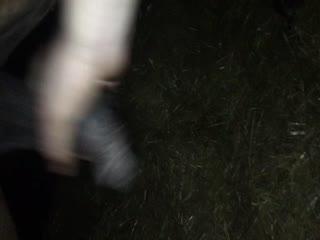 Part 2 of the Horse Fucking Chef Show Pornographic Video Download