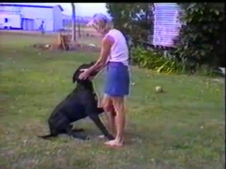 Fucking hardcore her dog download animal video free