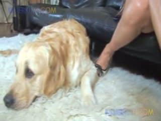 Girl fucking her dirty pet intense - Dog sex watch animal sex xxx