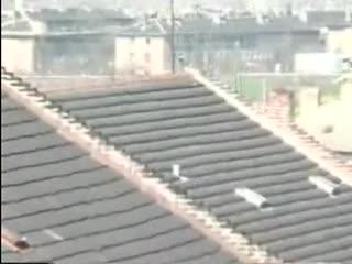 Dirty couple fucking threesome with dog sex free porn video watch now