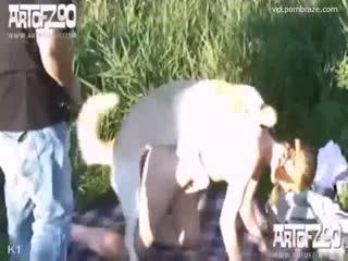 slave girl setup sex dog public watch free porn video watch free animal sex only on our website