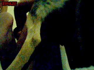 animal porn Videos dog sex free watch and download this videos free zoo