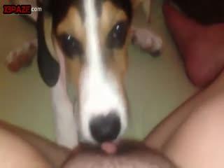 Check out some free pornographic videos Visit our site to see exclusive free animal sex videos.