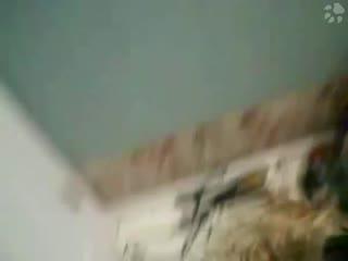 Dog enjoys sexual encounters with female humans in the zoo's sex xxx video section, you can see videos in a wide variety of pornographic styles.