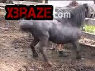 Watch free zoo sex videos online with young men and women being sexually abused by animals.