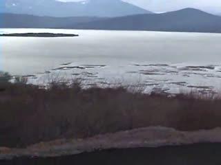 Dog porn xxx top free zoo porn videos This is the biggest animal sex site in the world.